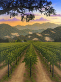 Napa Valley Vineyard