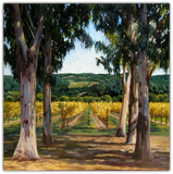 Afternoon Sun by Susan Hoehn features a Napa Valley vineyard in fall and eucalyptus trees.