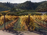 Far Niente Vineyard by Susan Hoehn