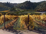 Far Niente Vineyard by Susan Hoehn