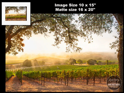 Hogan Fine Art Photography 16 x 20 Horizontal Matted Print