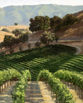 Hillside Vineyard by Susan Hoehn