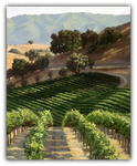Hillside Vineyard by Susan Hoehn