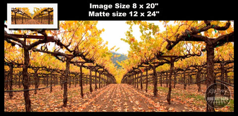 Hogan Fine Art Photography 12 x 24" Panoramic Matted Print