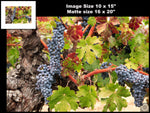 Hogan Fine Art Photography 16 x 20 Horizontal Matted Print