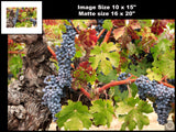 Hogan Fine Art Photography 16 x 20 Horizontal Matted Print