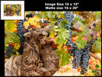 Hogan Fine Art Photography 16 x 20 Horizontal Matted Print