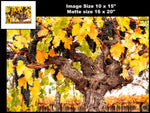 Hogan Fine Art Photography 16 x 20 Horizontal Matted Print