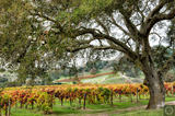 Hogan Fine Art Photography 16 x 20 Horizontal Matted Print