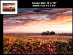 Hogan Fine Art Photography 16 x 20 Horizontal Matted Print