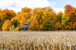 Hogan Fine Art Photography 16 x 20 Horizontal Matted Print