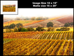 Hogan Fine Art Photography 16 x 20 Horizontal Matted Print