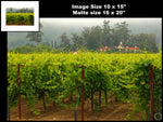 Hogan Fine Art Photography 16 x 20 Horizontal Matted Print