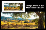 Hogan Fine Art Photography 12 x 24" Panoramic Matted Print