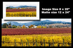 Hogan Fine Art Photography 12 x 24" Panoramic Matted Print