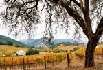 Hogan Fine Art Photography 16 x 20 Horizontal Matted Print