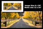 Hogan Fine Art Photography 12 x 24" Panoramic Matted Print