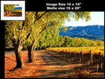 Hogan Fine Art Photography 16 x 20 Horizontal Matted Print