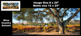 Hogan Fine Art Photography 12 x 24" Panoramic Matted Print