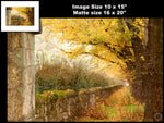 Hogan Fine Art Photography 16 x 20 Horizontal Matted Print