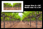 Hogan Fine Art Photography 12 x 24" Panoramic Matted Print
