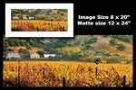 Hogan Fine Art Photography 12 x 24" Panoramic Matted Print