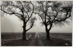 Hogan Fine Art Photography 16 x 20 Black & White Matted Prints