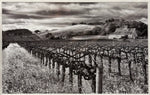 Hogan Fine Art Photography 16 x 20 Black & White Matted Prints