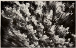 Hogan Fine Art Photography 16 x 20 Black & White Matted Prints