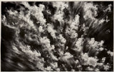Hogan Fine Art Photography 16 x 20 Black & White Matted Prints