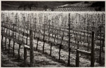 Hogan Fine Art Photography 16 x 20 Black & White Matted Prints