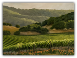 Poppies in the Vineyard Limited Edition by Susan Hoehn