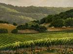 Poppies in the Vineyard Limited Edition by Susan Hoehn