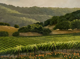 Poppies in the Vineyard Limited Edition by Susan Hoehn