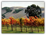 Sonoma in the Fall limited edition artwork by Susan Hoehn
