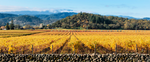 Hogan Fine Art Photography 12 x 24" Panoramic Matted Print