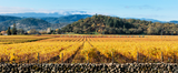 Hogan Fine Art Photography 12 x 24" Panoramic Matted Print