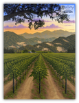 Napa Valley Vineyard