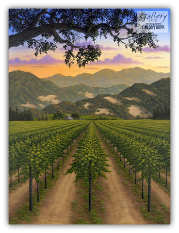 Napa Valley Vineyard