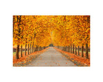 Hogan Fine Art Photography 16 x 20 Horizontal Matted Print