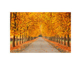 Hogan Fine Art Photography 16 x 20 Horizontal Matted Print