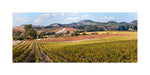 Hogan Fine Art Photography 12 x 24" Panoramic Matted Print