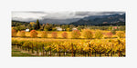Hogan Fine Art Photography 12 x 24" Panoramic Matted Print