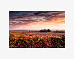 Hogan Fine Art Photography 16 x 20 Horizontal Matted Print