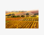 Hogan Fine Art Photography 16 x 20 Horizontal Matted Print