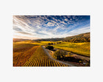 Hogan Fine Art Photography 16 x 20 Horizontal Matted Print