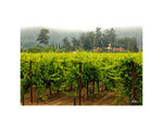 Hogan Fine Art Photography 16 x 20 Horizontal Matted Print
