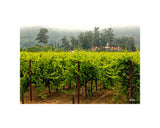 Hogan Fine Art Photography 16 x 20 Horizontal Matted Print