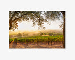 Hogan Fine Art Photography 16 x 20 Horizontal Matted Print