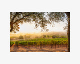 Hogan Fine Art Photography 16 x 20 Horizontal Matted Print